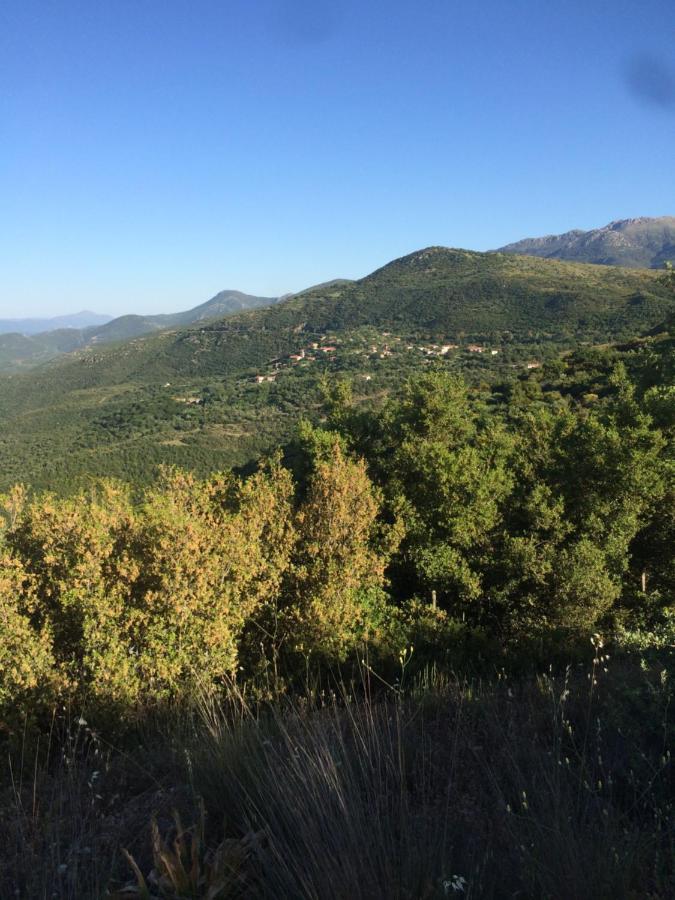 Gourgiana Apartments Ανδρίτσαινα Εξωτερικό φωτογραφία