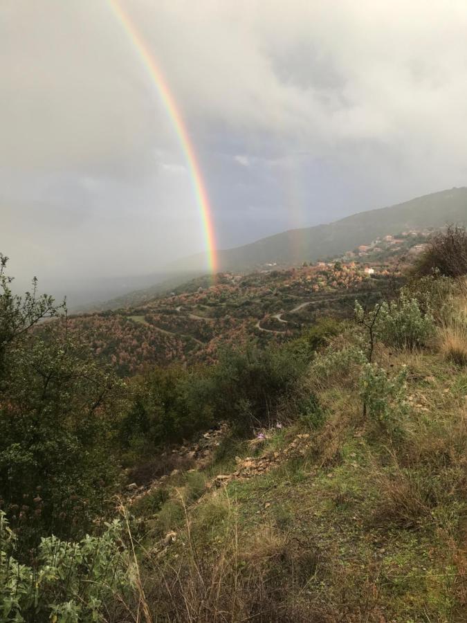 Gourgiana Apartments Ανδρίτσαινα Εξωτερικό φωτογραφία