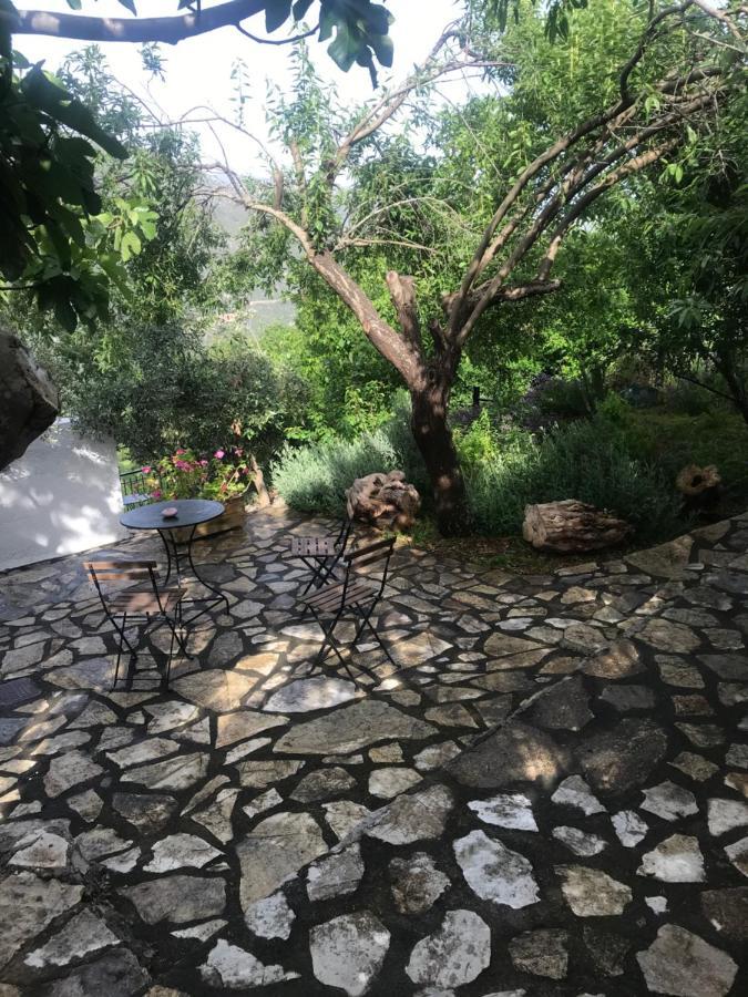 Gourgiana Apartments Ανδρίτσαινα Εξωτερικό φωτογραφία