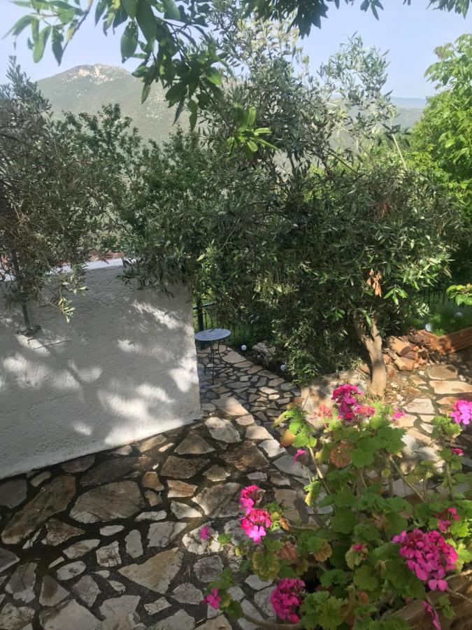Gourgiana Apartments Ανδρίτσαινα Εξωτερικό φωτογραφία