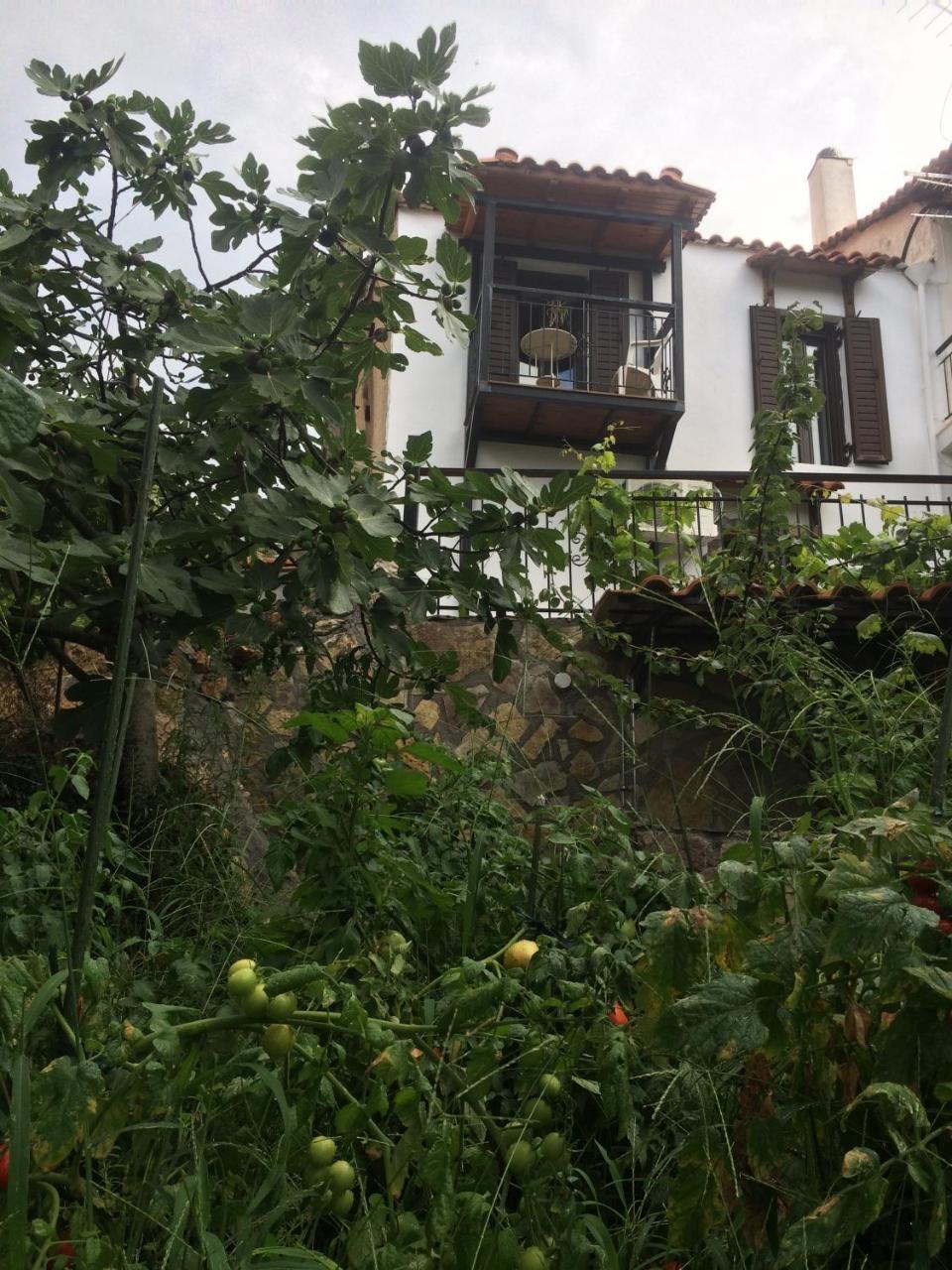 Gourgiana Apartments Ανδρίτσαινα Εξωτερικό φωτογραφία